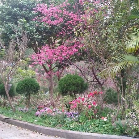 Ruyi Yuan Homestay 퉁샤오진 외부 사진
